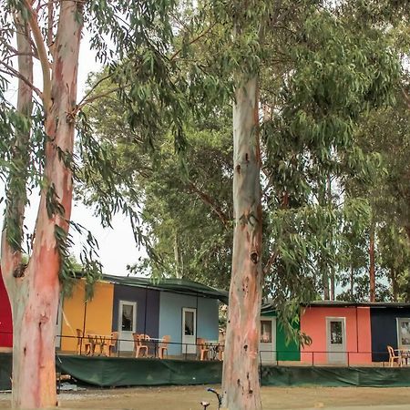 Patara Woody Hostel & Camping Buitenkant foto