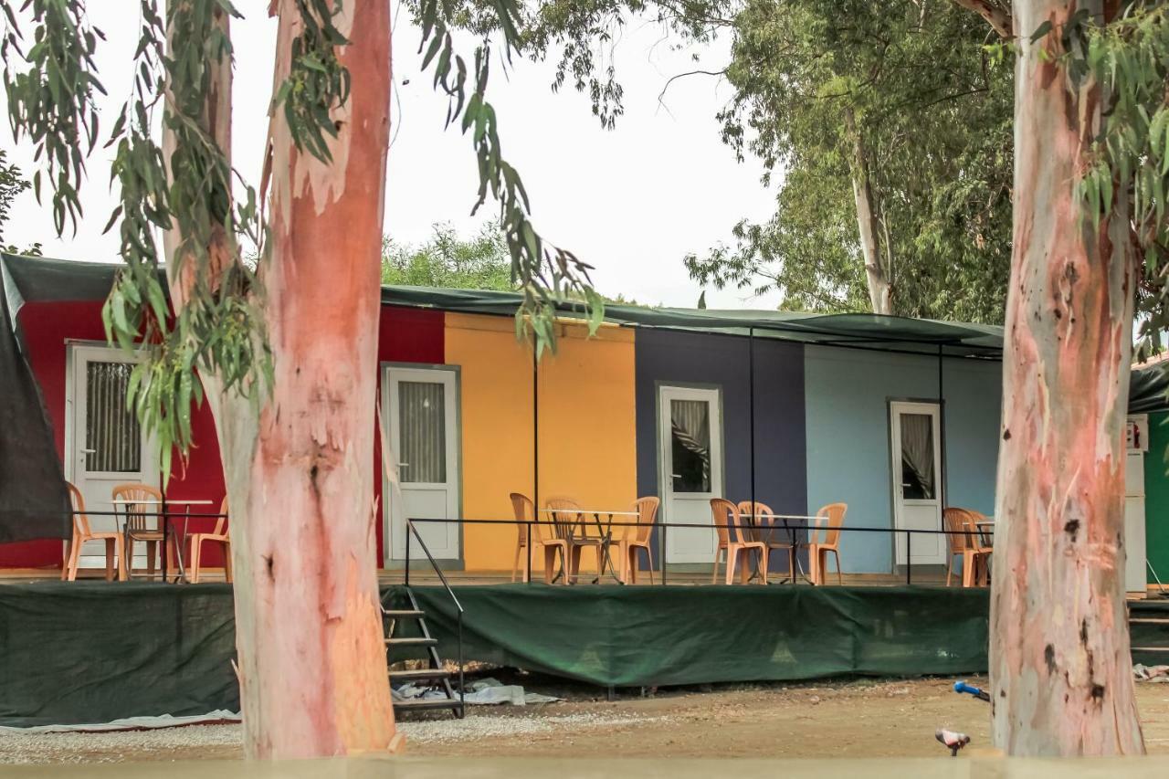 Patara Woody Hostel & Camping Buitenkant foto